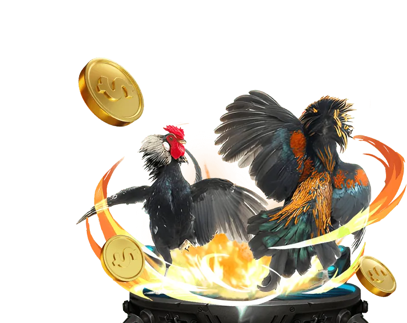 Đội ngũ chuyên nghiệp trực tiếp đá gà 67