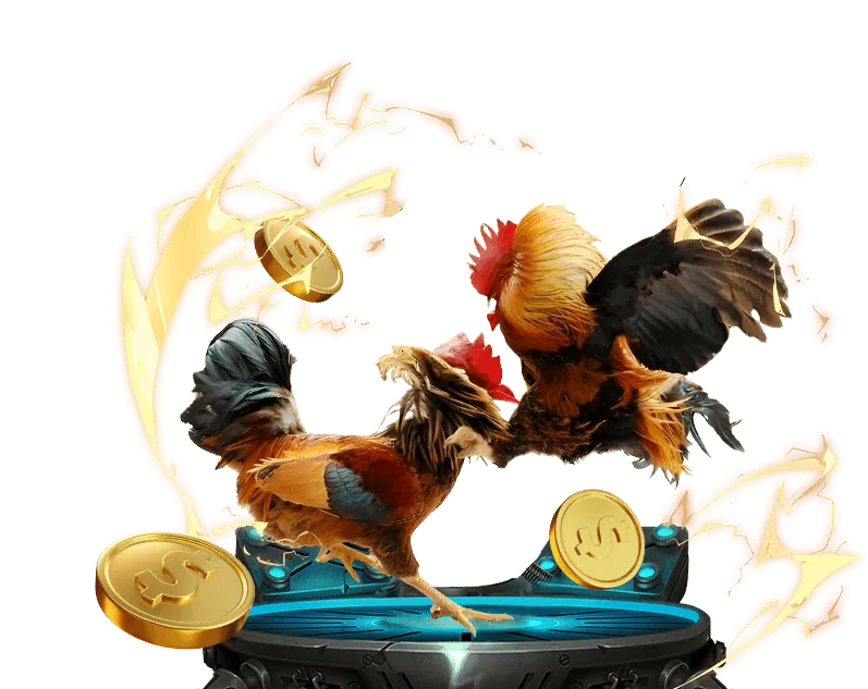 Người chia bài chuyên nghiệp tại Đá gà trực tiếp 67